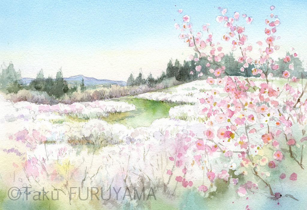 20230302塩那台地梅の里-