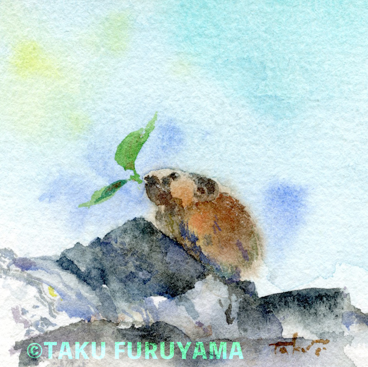 ナキウサギ・1　水彩　ちび絵